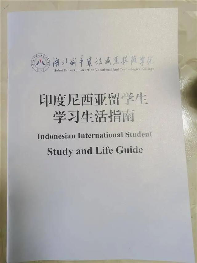 湖北城市建设职业技术学院首批留学生入学了PG麻将胡了免费试玩模拟器“武汉你好！”(图3)